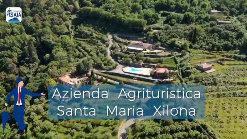 Агротуризм в Синагра