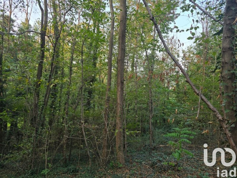 Terrain agricole à Rivoli