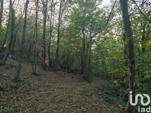 Jordbruksmark i Rivoli