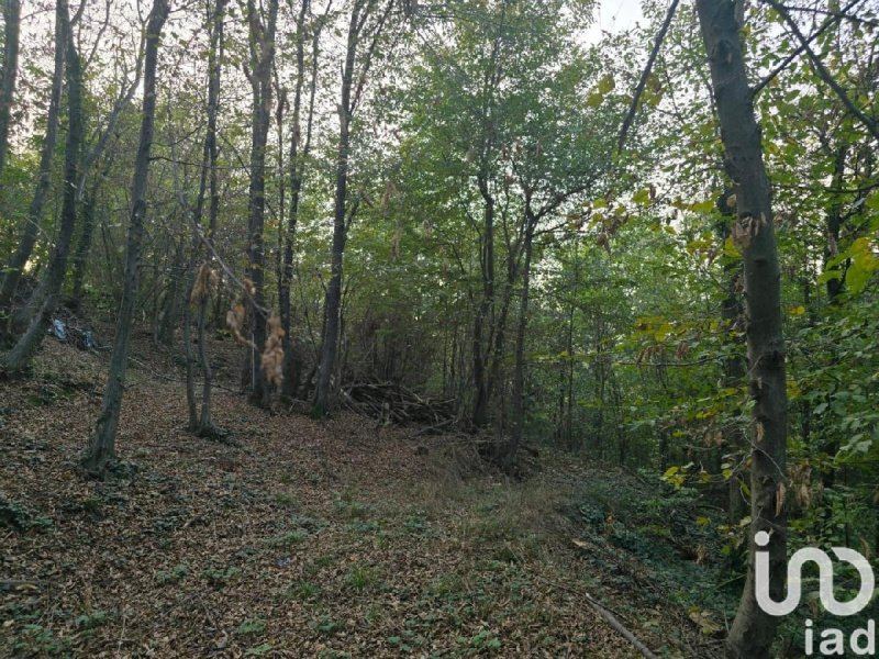 Terrain agricole à Rivoli