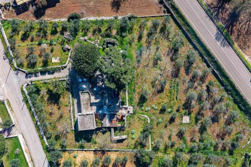 莫諾波利特魯洛