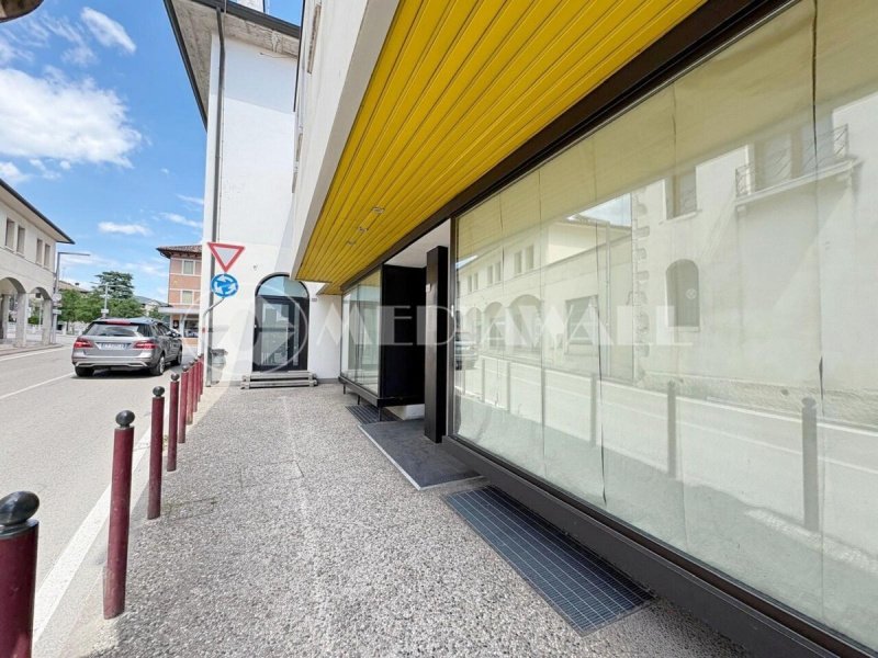 Commercial property in Caneva