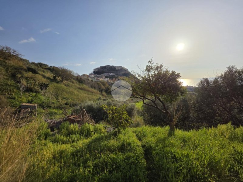 滨海贝尔韦代雷独栋房屋