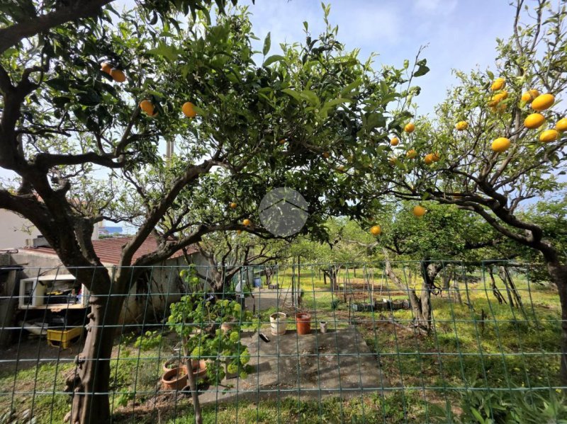 Appartamento a Praia a Mare