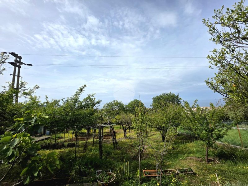 Appartamento a Praia a Mare