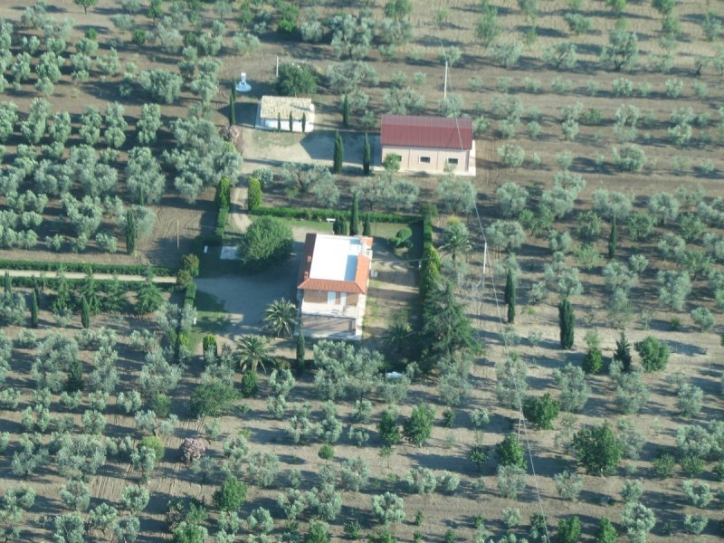 Ферма в Лучера