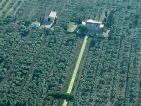 Lantgård i Lucera