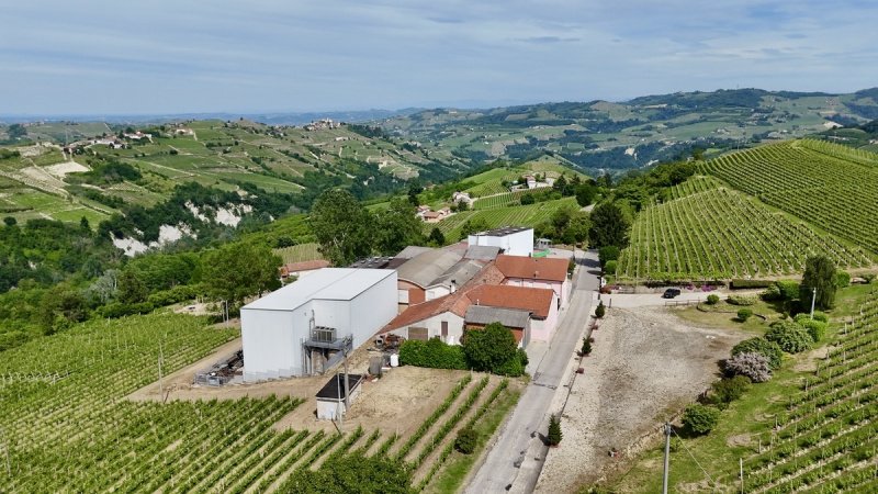 Ферма в Манго