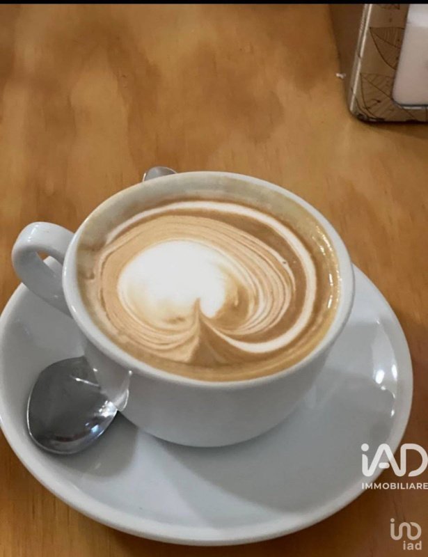 Inmueble comercial en Florencia