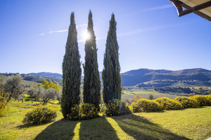 法尔法新堡别墅