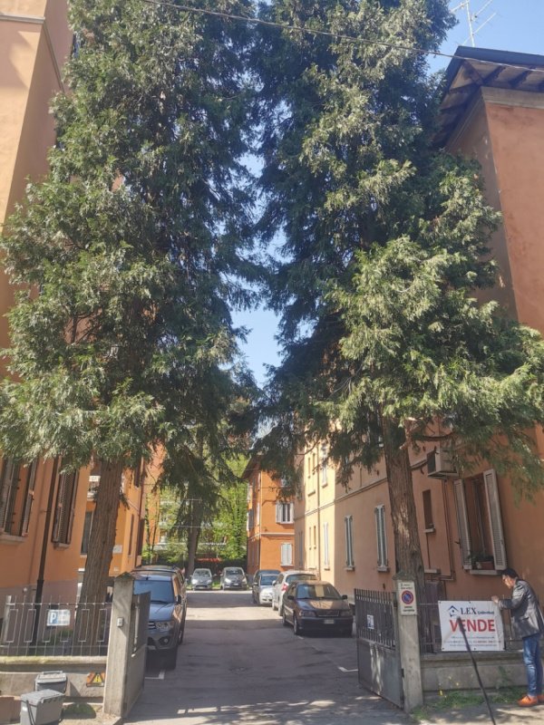 Casa a Reggio nell'Emilia