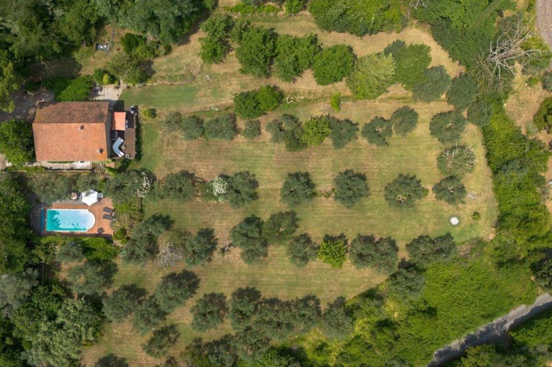 Detached house in Volterra