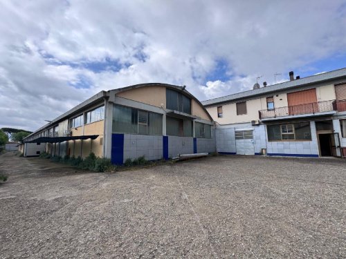 Local commercial à Santa Maria a Monte