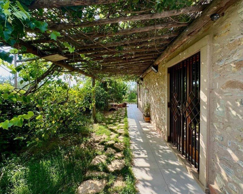 卡斯塔涅托-卡杜奇农舍