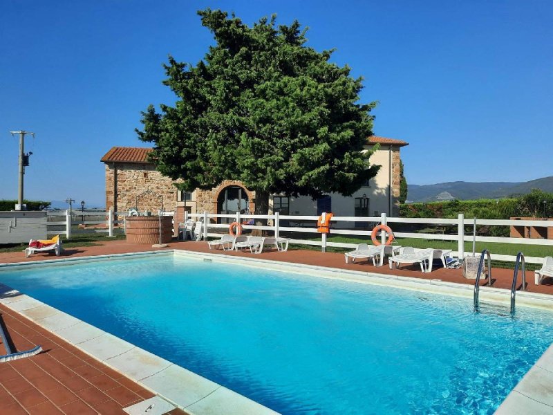 Lantställe i Castellina Marittima