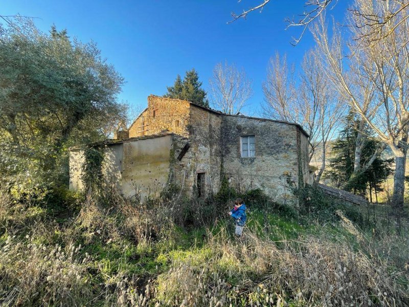 Farmhouse in Montescudaio