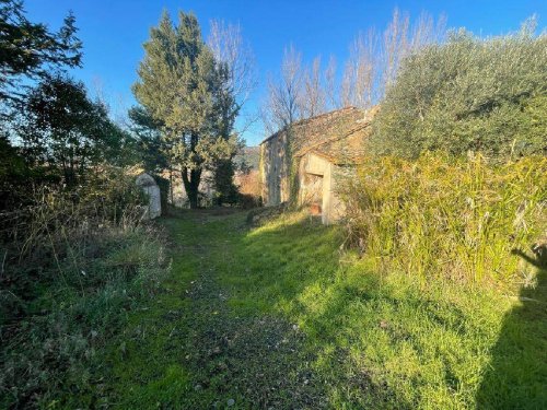 Solar em Montescudaio