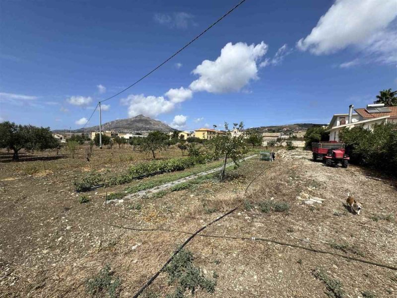 瓦尔德里切房屋