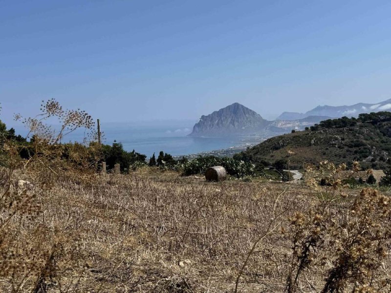 瓦尔德里切农用土地