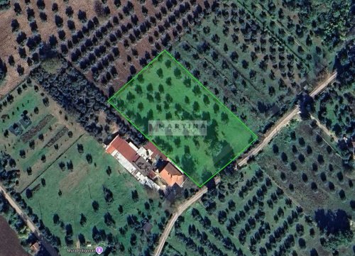 Terrain agricole à San Donato Val di Comino