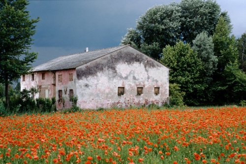 Casa di campagna a Loreggia