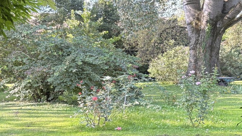 Hus på landet i Pernumia