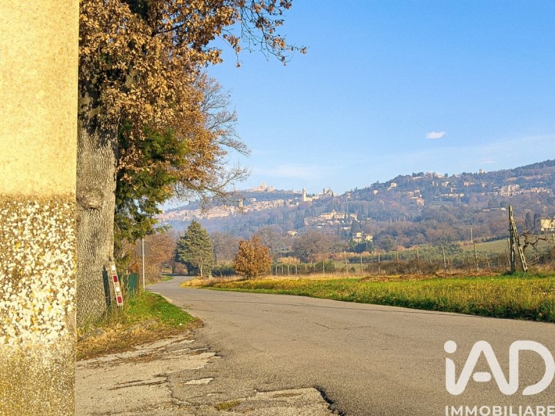 Casa independente em Assis