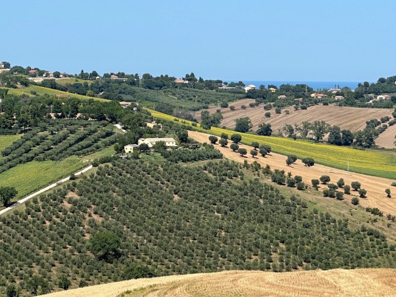 Agriturismo in Senigallia