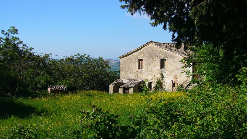 钦戈利乡间房屋