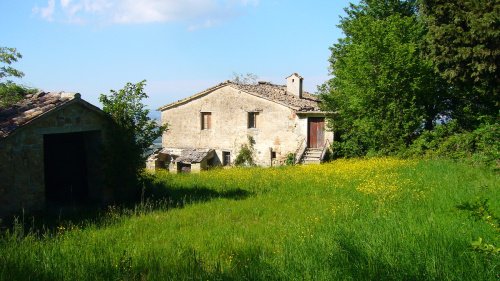 钦戈利乡间房屋