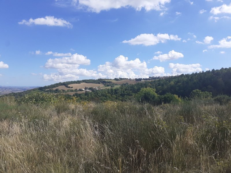 Huis op het platteland in Cingoli