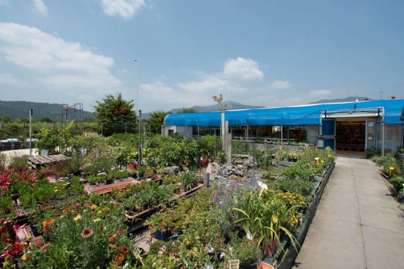 Exploitation agricole à Iseo