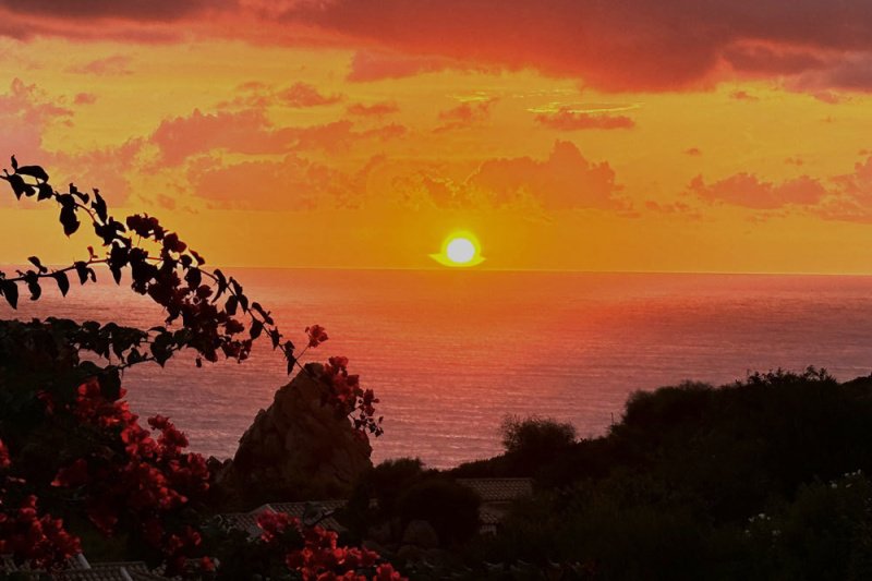 Costa Paradiso半独立房屋