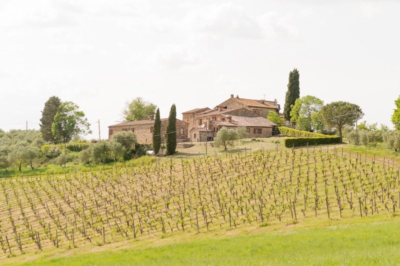 基安蒂地区卡斯特利纳别墅