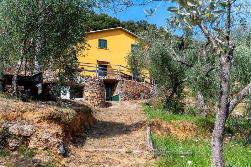 Hus på landet i Santa Margherita Ligure