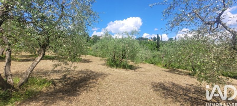 Terreno agrícola en Florencia