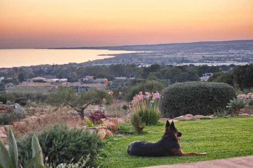 Вилла в Шикли