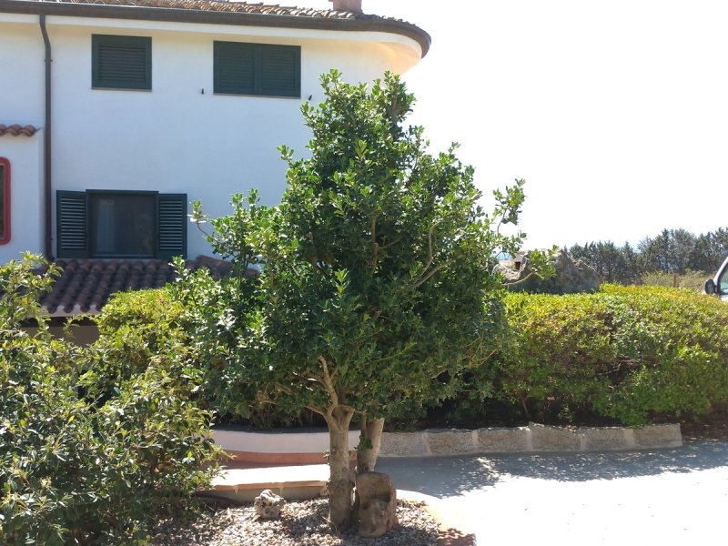 Villa in Nuoro