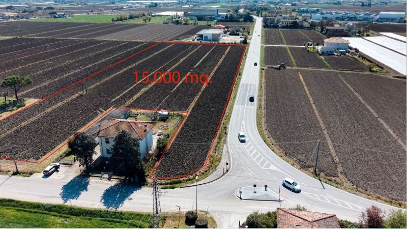 Terrain agricole à San Mauro Pascoli