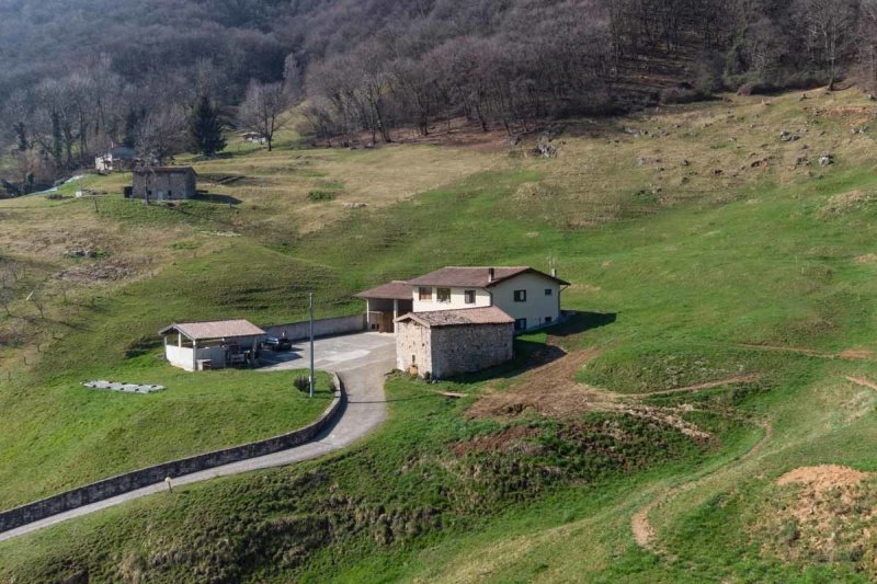 Apartamento independiente en Albino