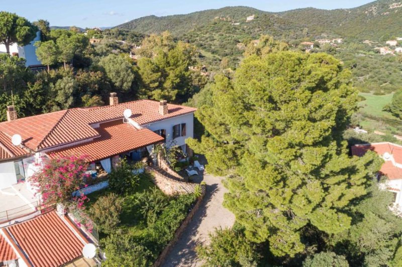 Moradia em Domus de Maria