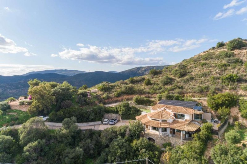 Вилла в Домус-де-Мария