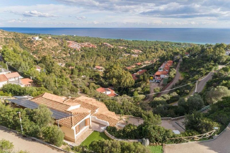 Вилла в Домус-де-Мария