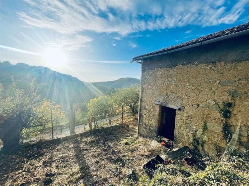 隆戈内萨比诺农舍