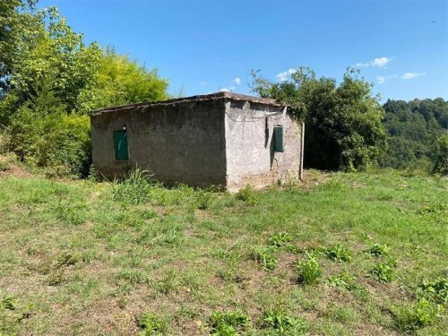 纳扎诺独栋房屋