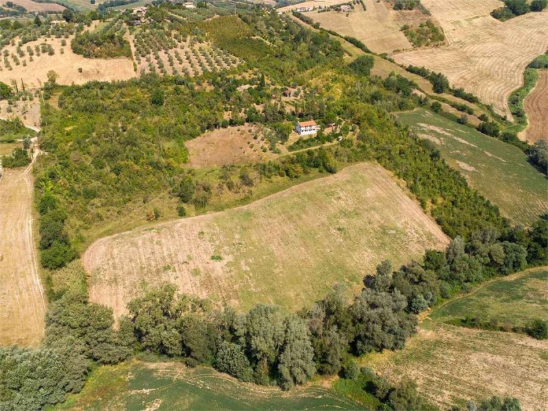 Casa independente em Calvi dell'Umbria