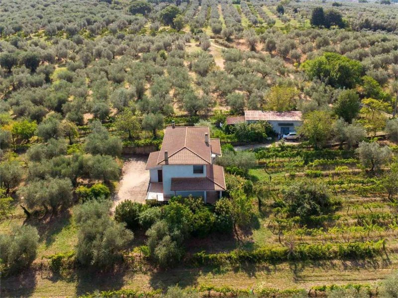 法拉-因萨比纳别墅