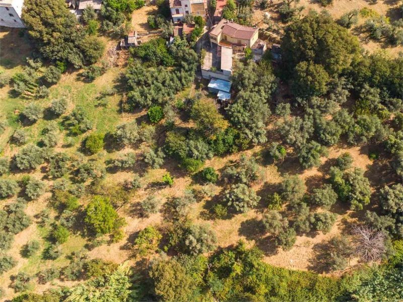 法拉-因萨比纳独栋房屋