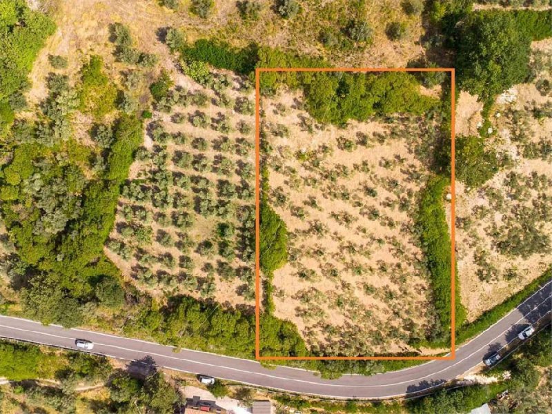 Terreno agrícola em Poggio Moiano