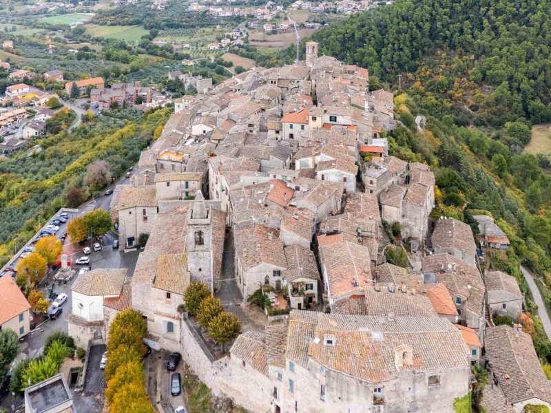 斯特龙科内历史性公寓